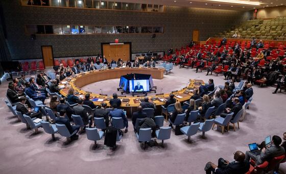 Рамиз Алакбаров (на экране) докладывает членам Совета Безопасности ООН о ситуации на Ближнем Востоке.